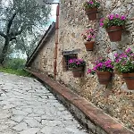 Tuscan Hideaway Vakantiehuis Camaiore