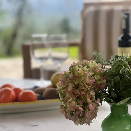 Tuscan Hideaway Vakantiehuis
