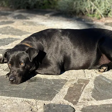 بيت للعطل Tuscan Hideaway كامايوري