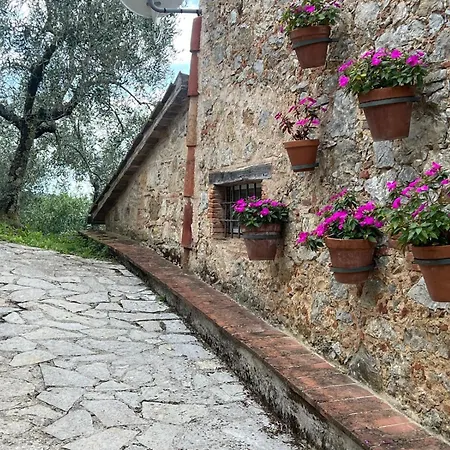 Tuscan Hideaway Casa vacanze Camaiore