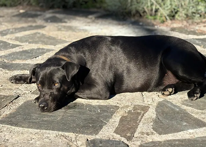 Ferienhaus Tuscan Hideaway Camaiore